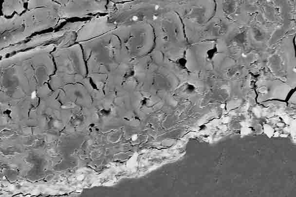 ANALYSES SCIENTIFIQUES
