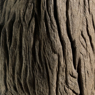 FISSURES ET RAVINAGE